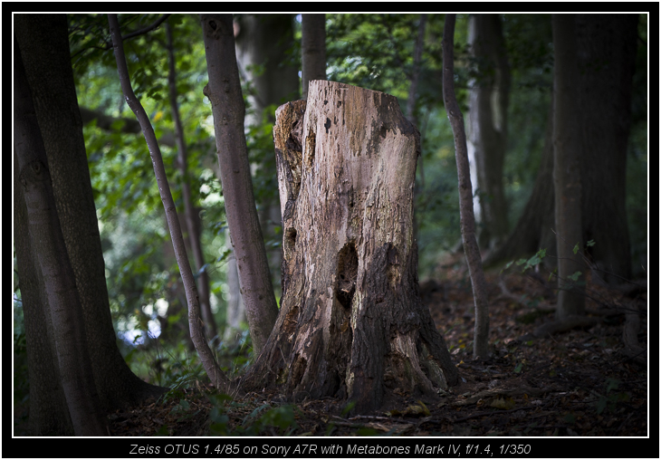 Zeiss OTUS 1.4/85 on Sony A7R with Metabones Mark IV