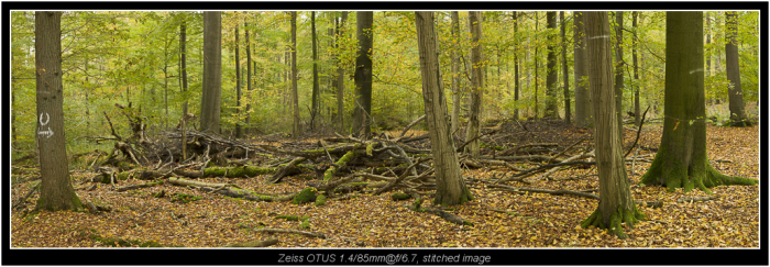 stitch of 10 images, two rows, f/6.7 30.000 pixel wide!  this only makes sense, when you want the option for huge prints :-)