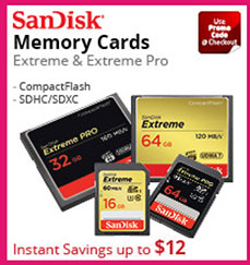 sandisk