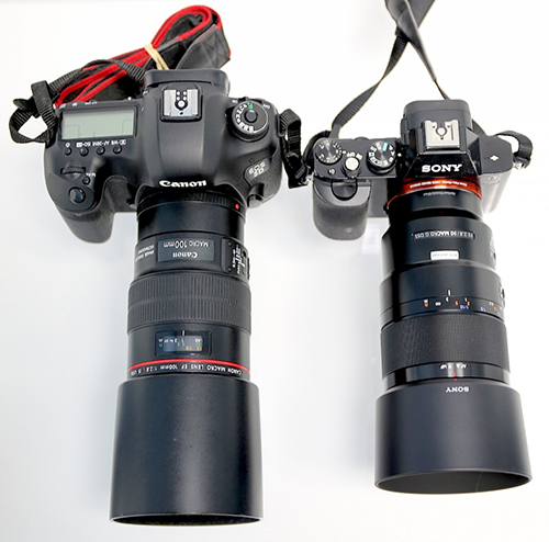 Canon_vs_Sony90mm_macro