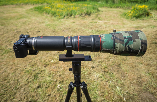Ongewapend escaleren openbaring A6000 with 500mm & 850mm telephoto (Guest post by Barry Wells). –  sonyalpharumors