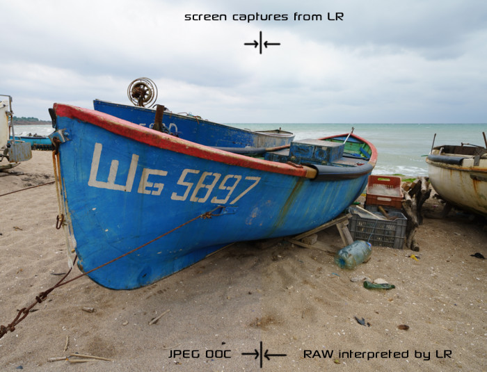 LR RAW vs JPEG Sony A7RII