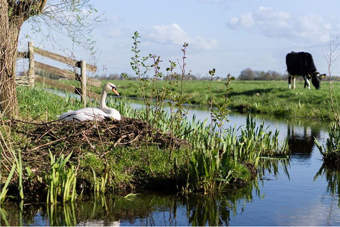 Bildschirmfoto 2016-04-23 um 13.50.20