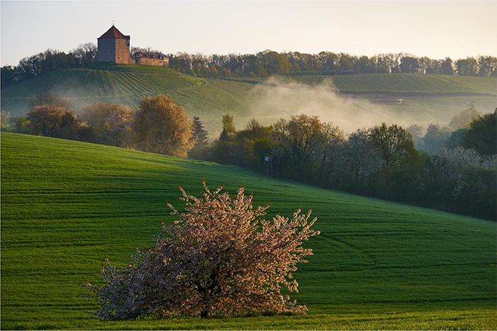 Bildschirmfoto 2016-04-30 um 21.27.40