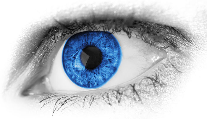 blue-eye-detail