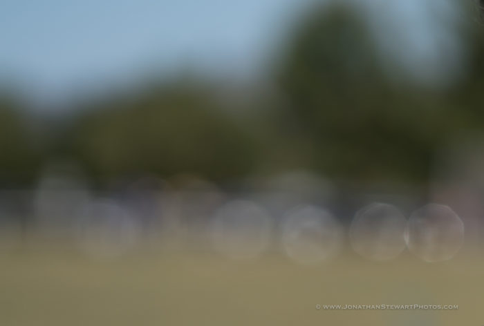 Batis f1.8 bokeh-1