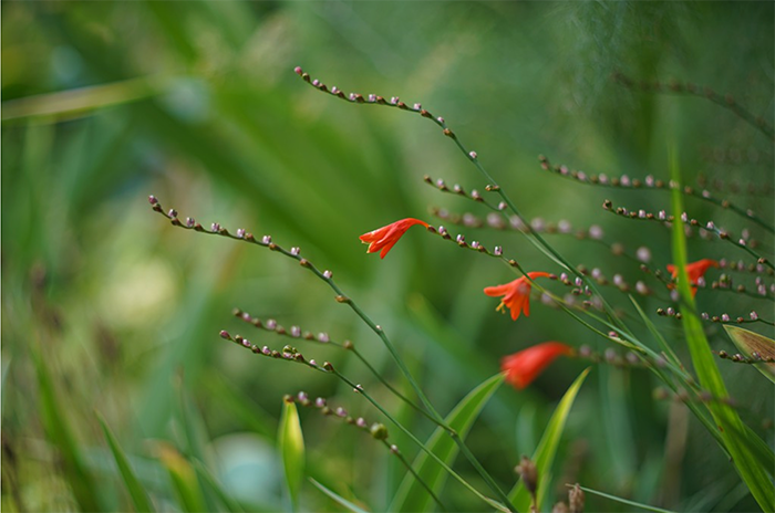 Bildschirmfoto 2016-08-06 um 08.41.04