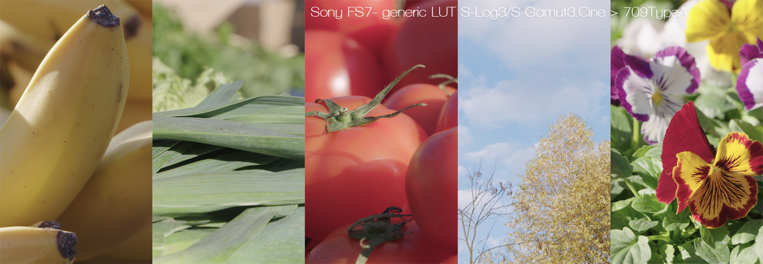 fs7_generic_mix_web