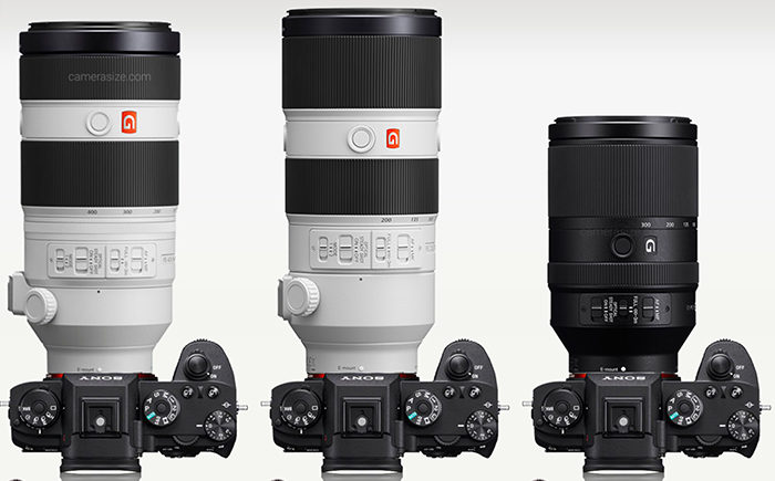 Size Comparison: FE 200-600 G Vs. FE 600 GM Vs. FE 400 GM Vs. FE 100-400 GM  and More