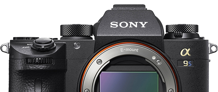 sony alpha 9s
