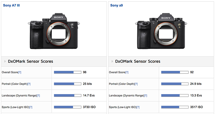 betale sig slag attribut Sony A7III scores 96 points at DxOmark (very close to the A7rIII) –  sonyalpharumors