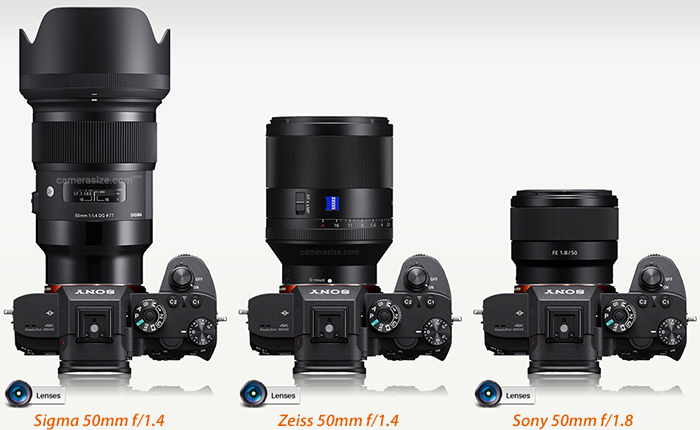 Zeiss vs Zeiss. The Sony 50 1.4 vs 55 1.8.