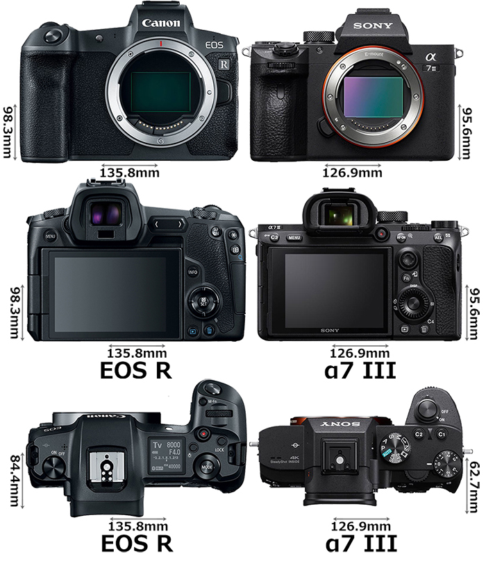 Canon EOS-R versus Sony A7III size comparison -