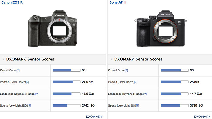 radiator kolf radicaal Canon EOS-R sensor gets tested at DxOmark: The Sony A7III has a  considerable one-stop advantage at Low ISO – sonyalpharumors