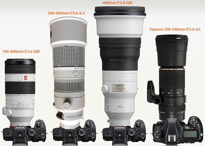 Size Comparison: FE 200-600 G Vs. FE 600 GM Vs. FE 400 GM Vs. FE 100-400 GM  and More