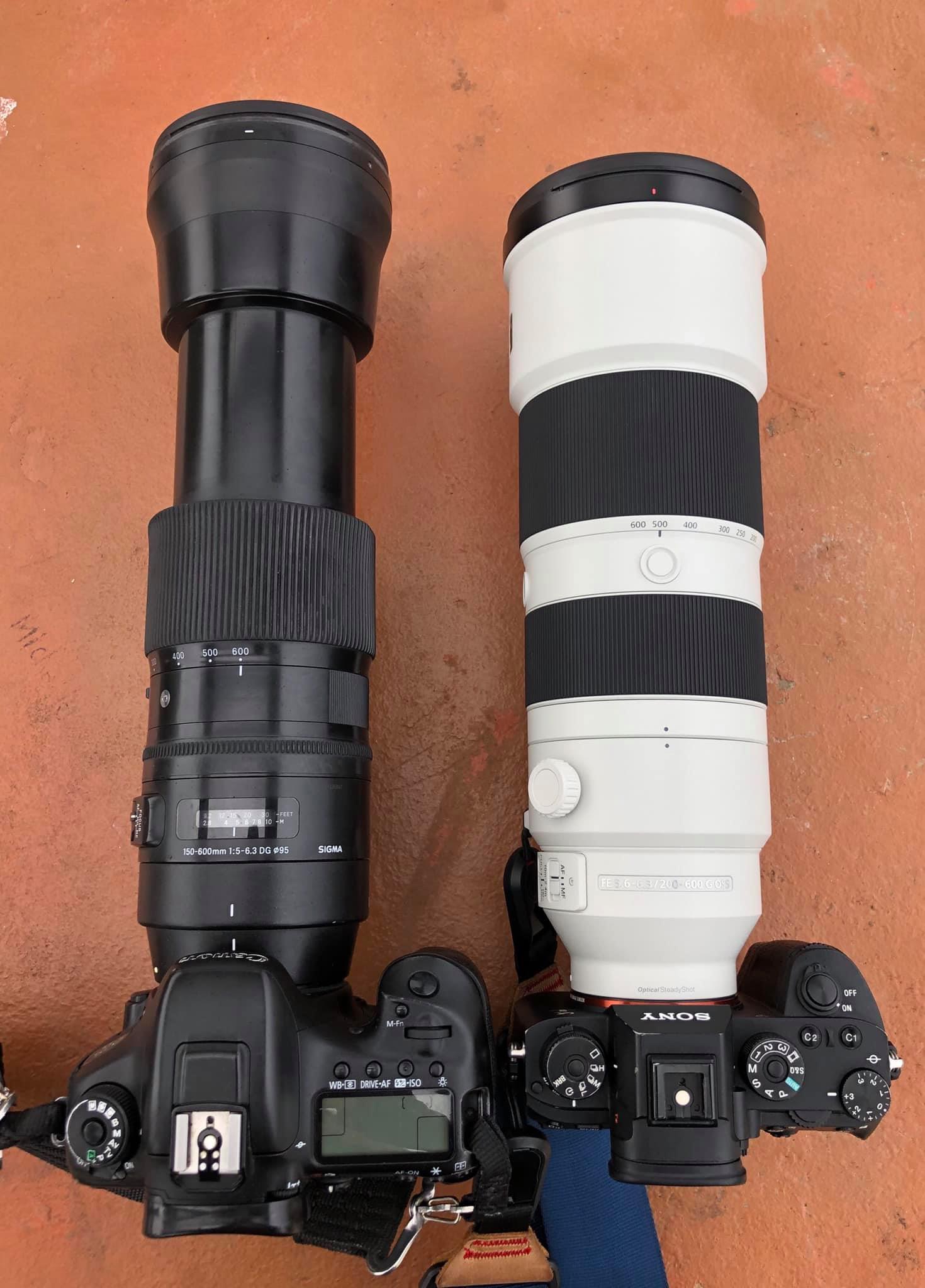 First review of Sony FE 200-600mm f/5.6-6.3 G for wildlife shooter by ...