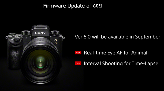 Sony releases α9 firmware update adding Real-Time Eye AF for animals,  interval shooting functionality and compatibility with RMT-P1BT -  sonyalpharumors