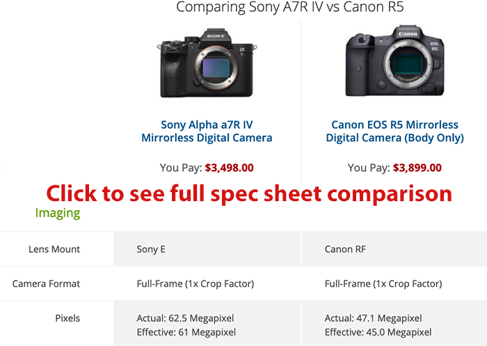 Proficiat Quagga Prime Canon EOS-R5 vs Sony A7rIV full specs and size comparison – sonyalpharumors
