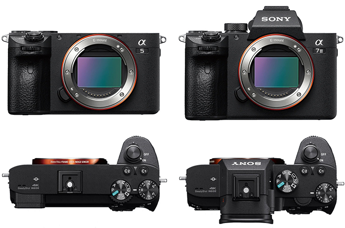 Sony new entry level camera will have very similar A7III specs in A6600  body size – sonyalpharumors