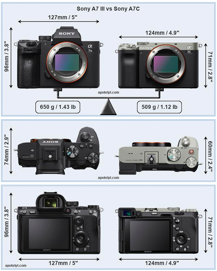 New accurate Sony A7c vs Sony A7III vs comparison – sonyalpharumors