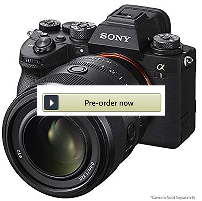 New Sony A7IV videos and reviews – sonyalpharumors