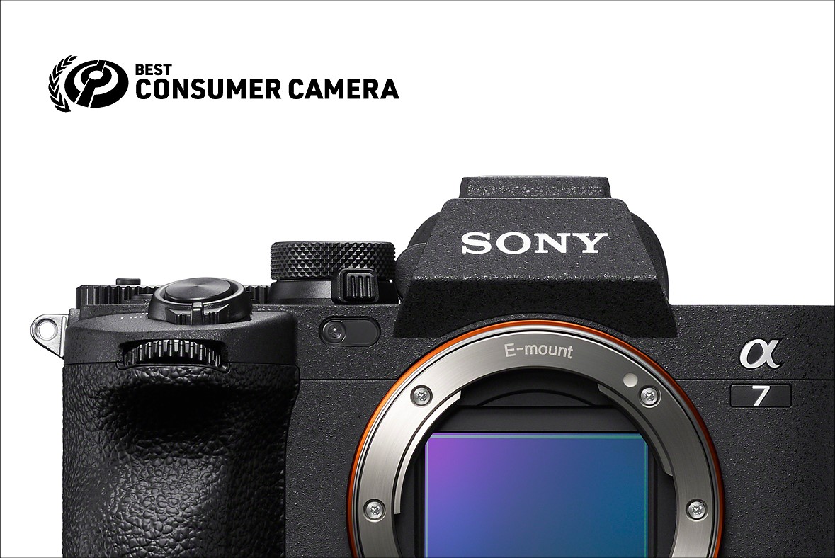 DPReview Awards 2021 for the Sony A1, A7IV, 14mm GM and Tamron 2875mm II sonyalpharumors