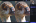 topaz gigapixel ai 5.7