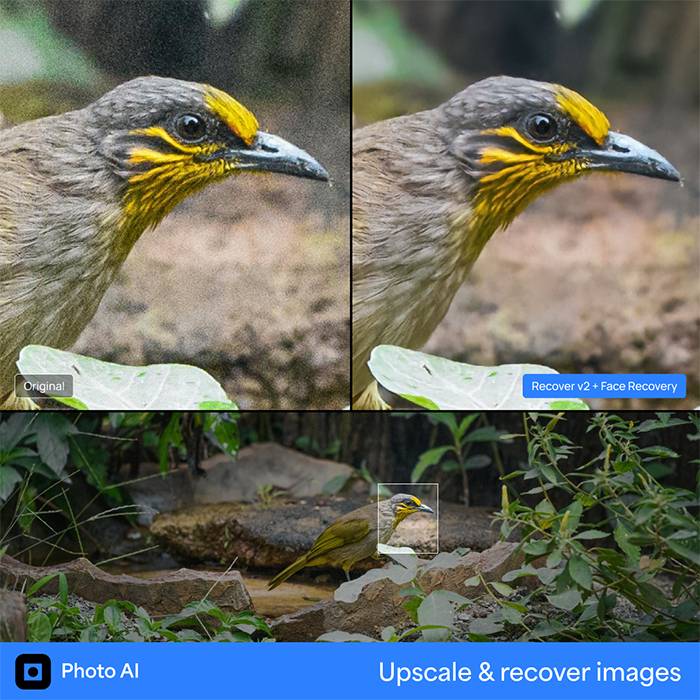 Topaz Photo AI 4 Example 3